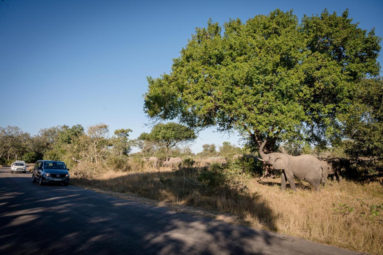 Nkuhlu Tented Camp Skukuza Exterior photo